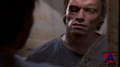  / The Terminator