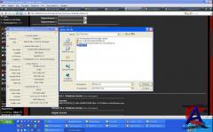 AviInfo v.3.1.2