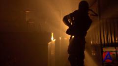 - / Zombie Strippers