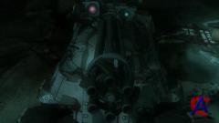   / Appleseed