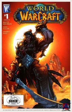   / World of Warcraft