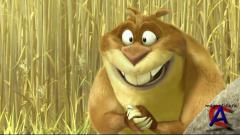   / Gopher Broke