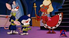    / Pinky and the Brain 2 