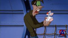    / Pinky and the Brain 2 