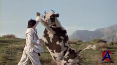  :    / Kung Pow: Enter the Fist