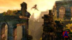 Trine