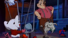   / Pinky and the Brain 3 