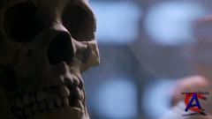   / Taking Lives [Unrated Directors Cut]