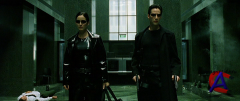  / The Matrix