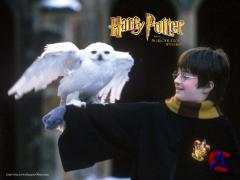       / Harry Potter and the Sorcerers Stone