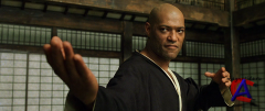  / The Matrix