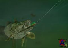 Rapala Pro Fishing