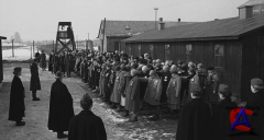   / Schindlers List