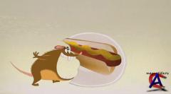    / Your friend the Rat