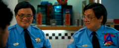    / Observe and Report