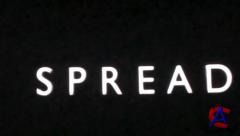  / Spread