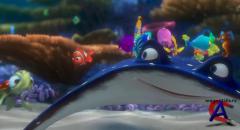    / Finding Nemo