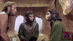   / Planet of the Apes
