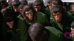   4:    / Conquest of the Planet of the Apes