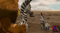  2 / Madagaskar 2