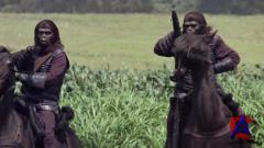   / Planet of the Apes