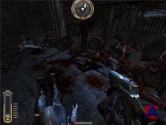 NecroVision