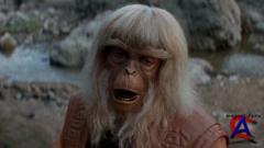   5:     / Battle for the Planet of the Apes