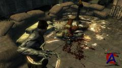 Dark Sector