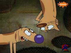  / Catdog (1-30 )