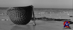    / The longest day