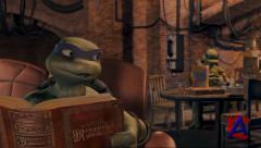 - / TMNT