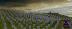  / Passchendaele