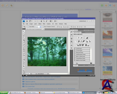   Photoshop CS4