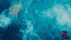  / The Island