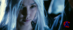   / The Forbidden Kingdom