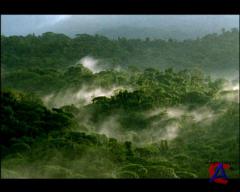 BBC:   -     / BBC: Wild Weather - Sandy storms and thunder-storms.DVDRip