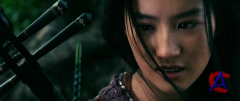   / The Forbidden Kingdom