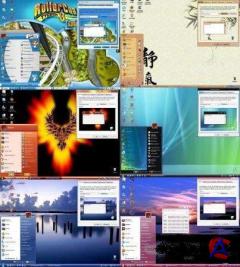   Windows XP SP3