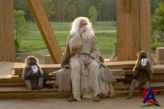   / Evan Almighty