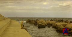    / Vicky Cristina Barcelona