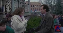   / Groundhog Day