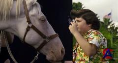   3:   / Ace Ventura Jr: Pet Detective