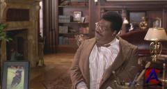   / Nutty Professor