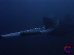 U-429:   / In Enemy Hands.