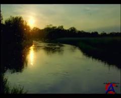 BBC:  .    ( 3) / BBC: Journey Of Life