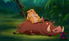   3:   / The Lion King 3: Hakuna matata