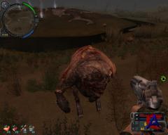 S.T.A.L.K.E.R:  
