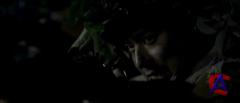38-  / Taegukgi hwinalrimyeo