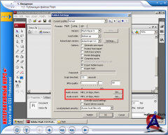  . Adobe Flash CS3 Professional