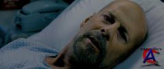  / Surrogates